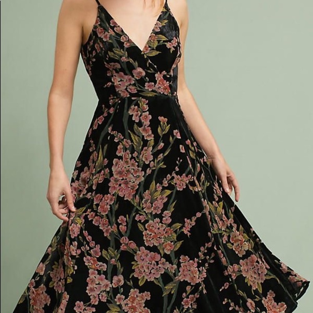 Eri+Ali Floral Burnout Velvet Midi Dress